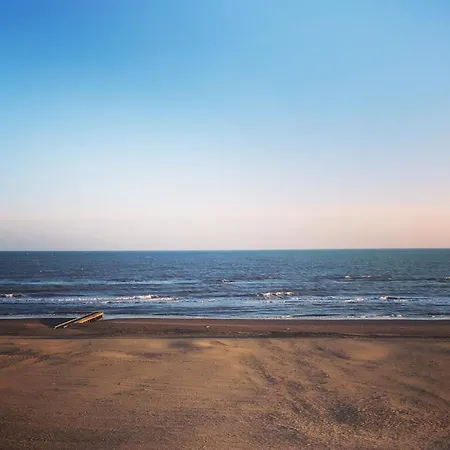 Fronte Mare, Piscina - Grifone